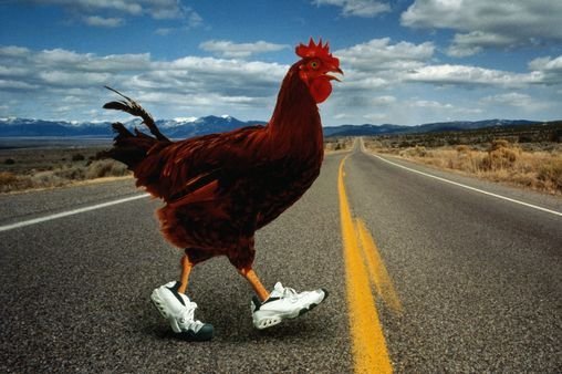 Juego chicken road in Spain